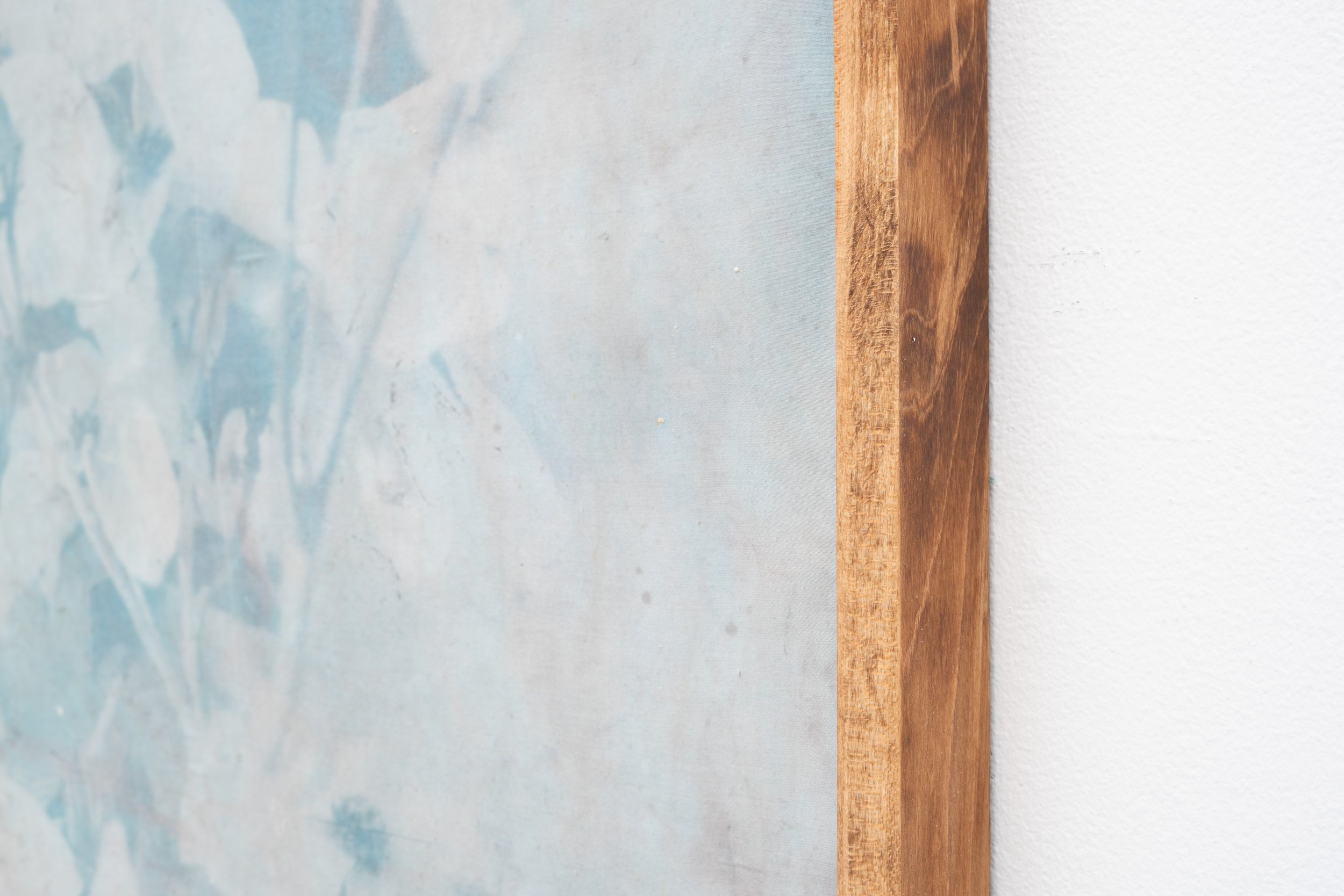 Pat Reynolds,  Flowering Dogwood , 2026 (detail). Toned cyanotype on cotton, maple, Danish oil; 43 x 43 x 1.5 in.