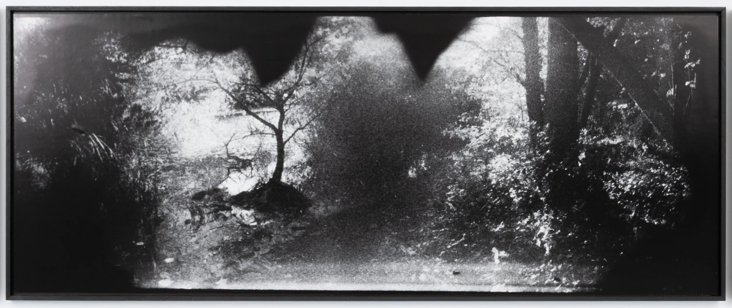 Leor Miller,  Experiential Blur (Creek Trail) , 2025. Inkjet print, 30 x 75 1/2 in