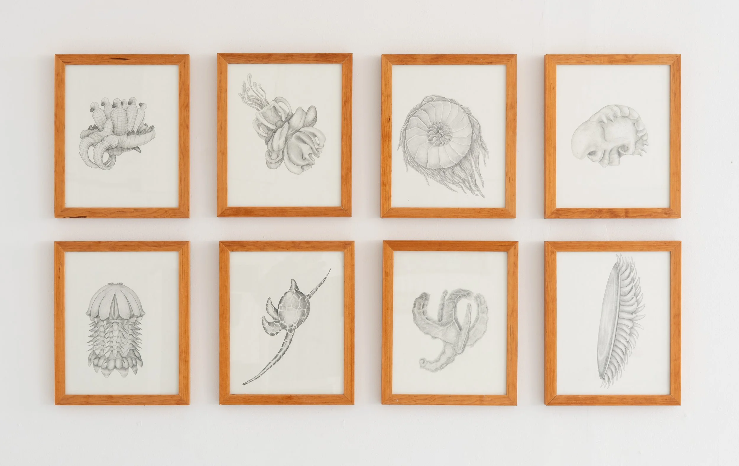 Installation view:  Armarium Mirabilium , presented by Plum Gallery. Ptolemy, Queens, NY, 2026.