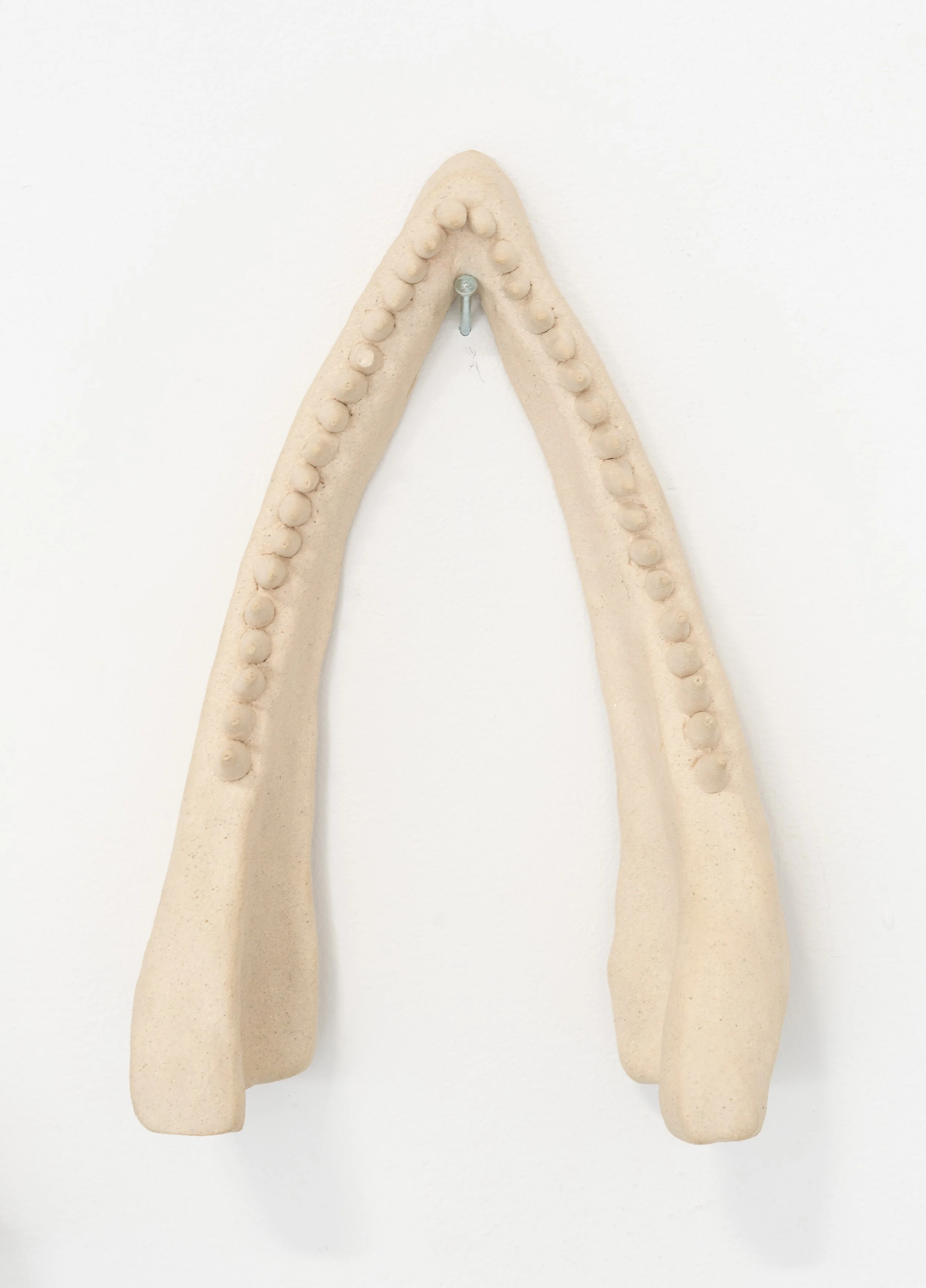 Jared Goldfischer,  Bottlenose Dolphin Jaw , 2026. White stoneware, 12 x 9 x 4 in.