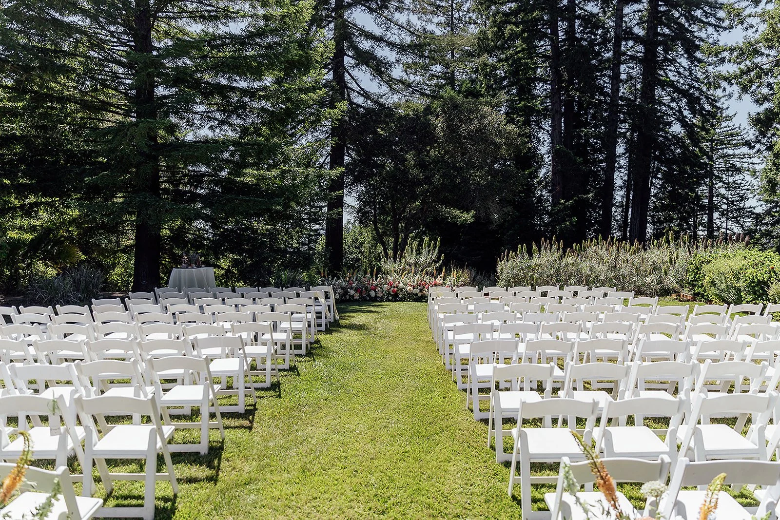 Bailey+SeanMarried2026-295 (2).jpg