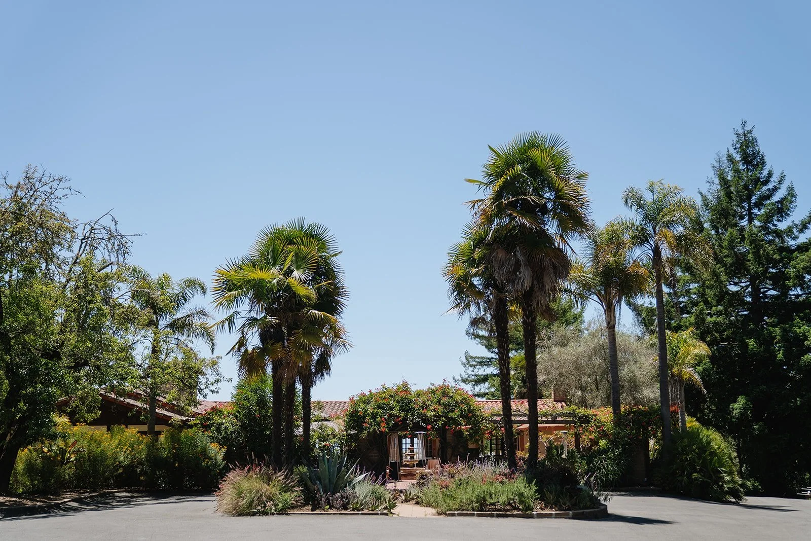 William and Vaness Wedding.jpg