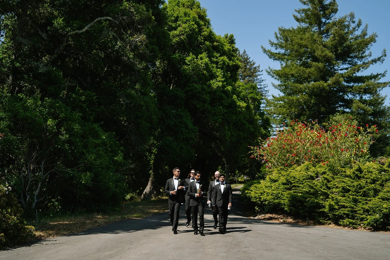 Jessica and Amir Wedding-172.jpg