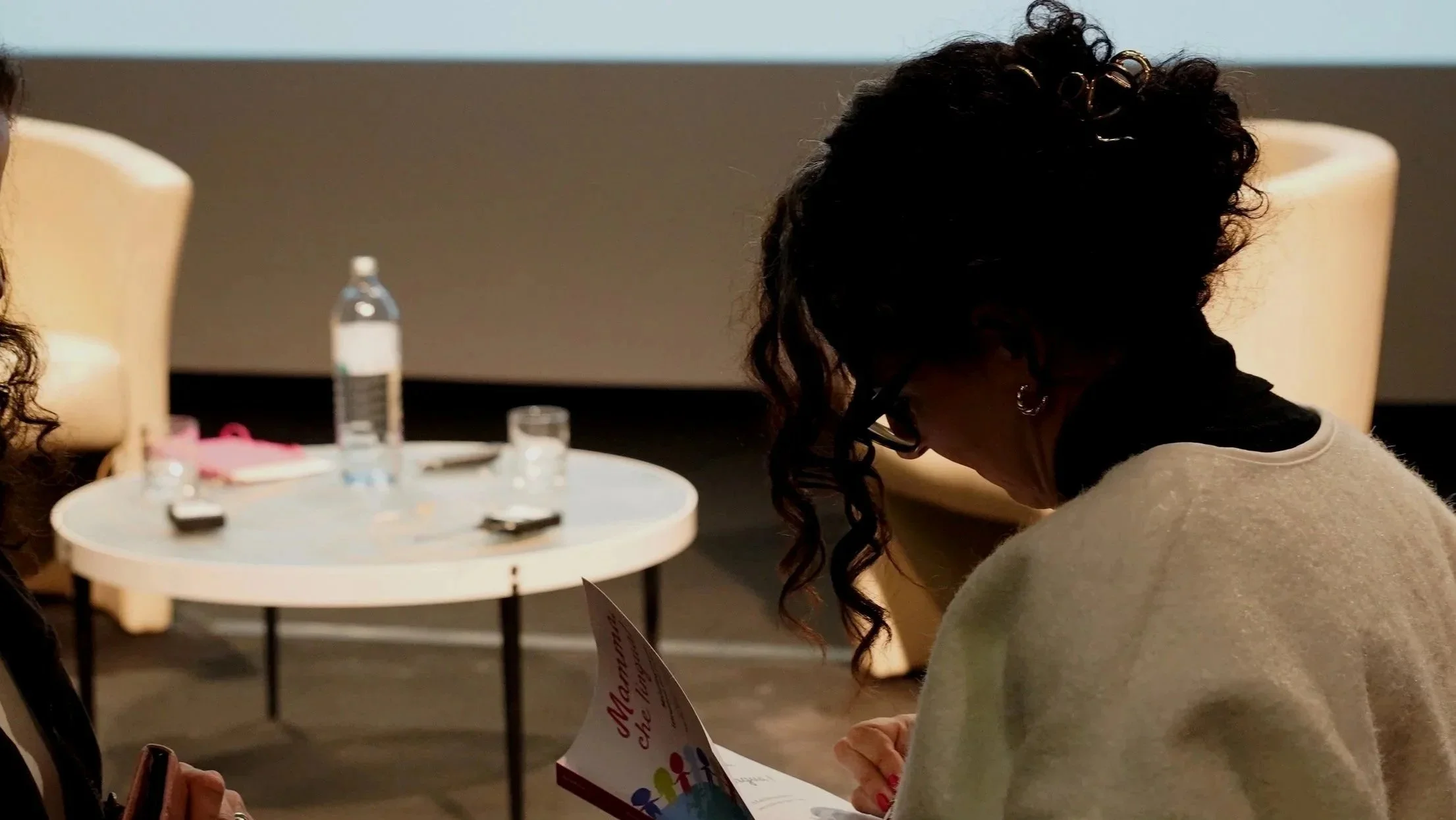 Multilingualism book