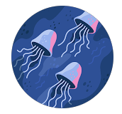 Drei leuchtende Quallen im Wasser