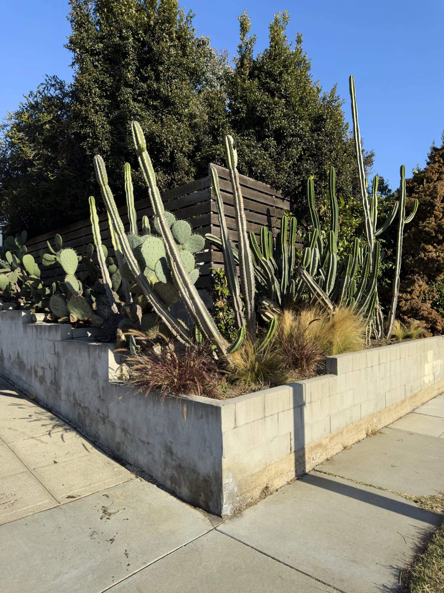 1102_Cedar_St_Santa_Monica_CA_0004.jpg