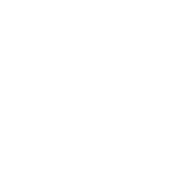 hands to vision white.png