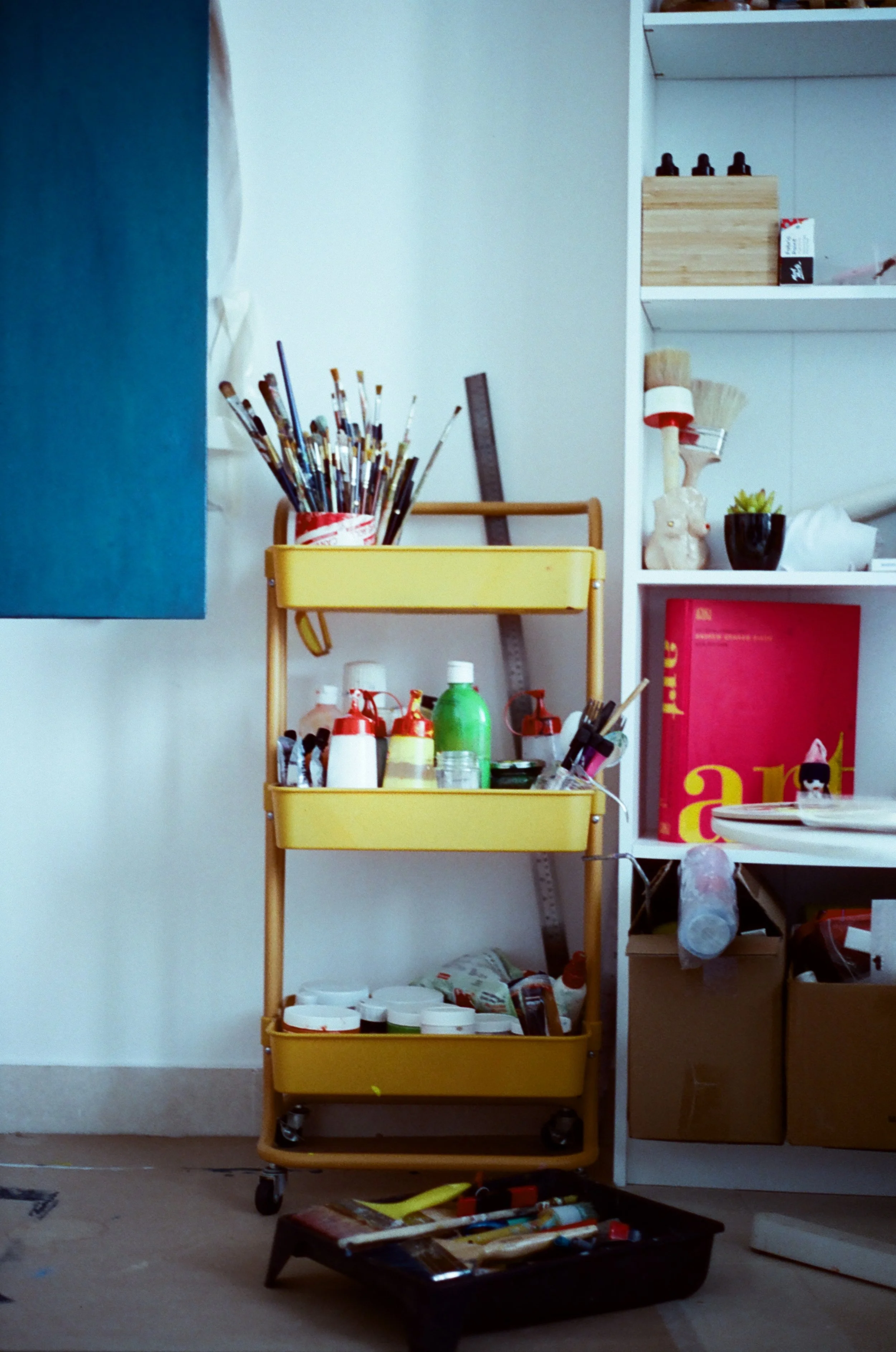 Aman Ali - 7762 - Hoasca - 27.jpg