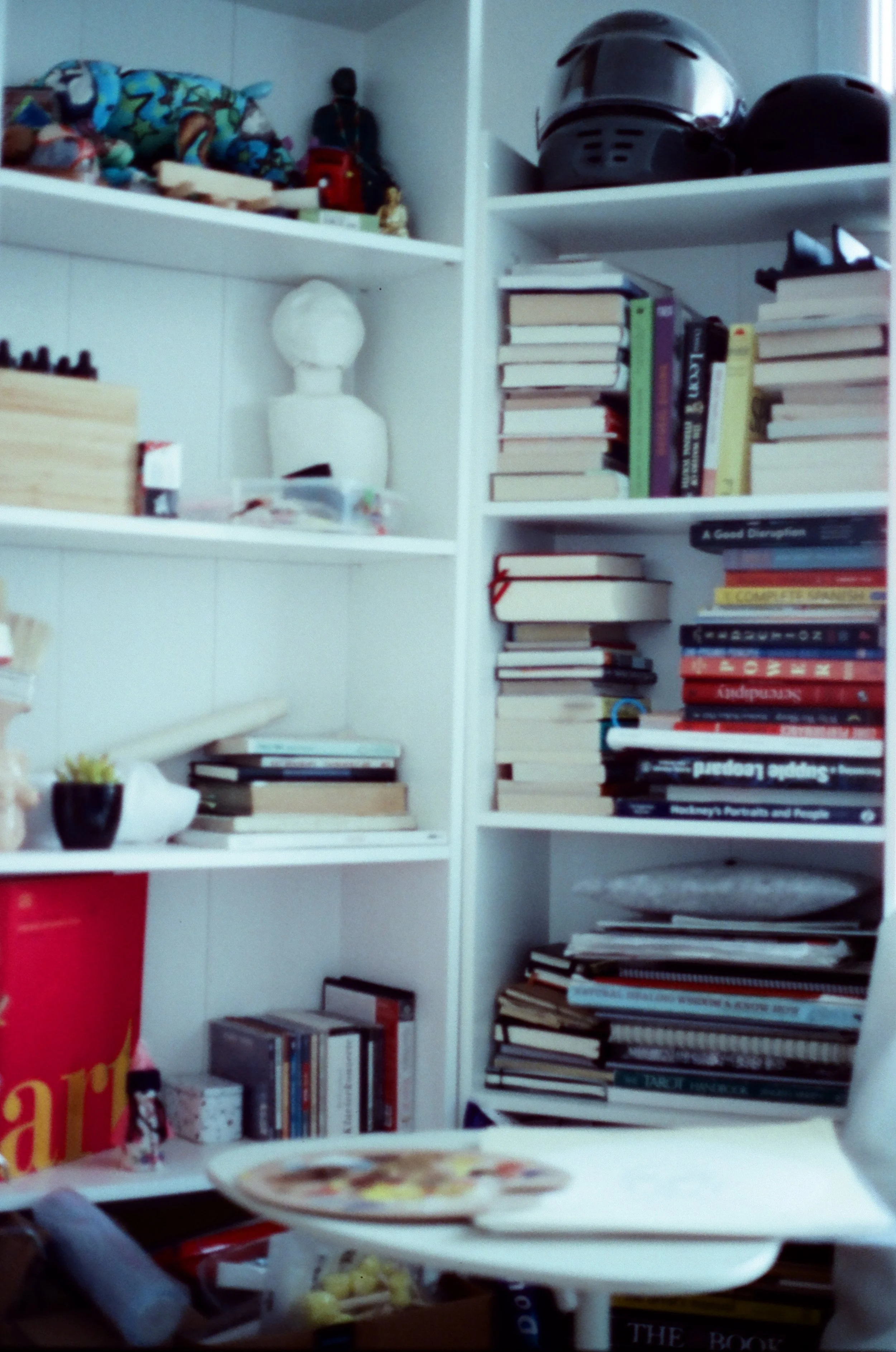 Aman Ali - 7762 - Hoasca - 29.jpg