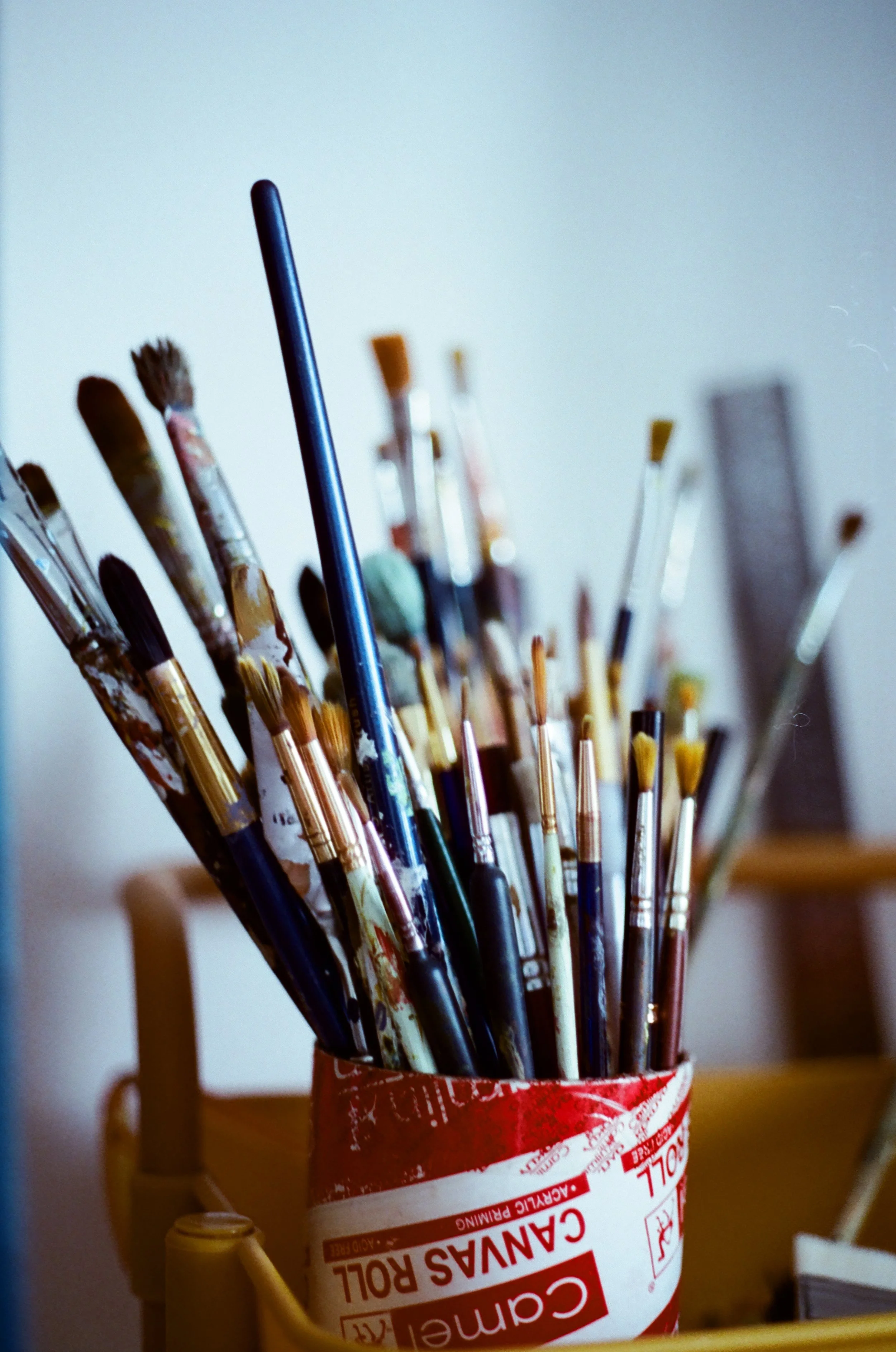 Aman Ali - 7762 - Hoasca - 33.jpg