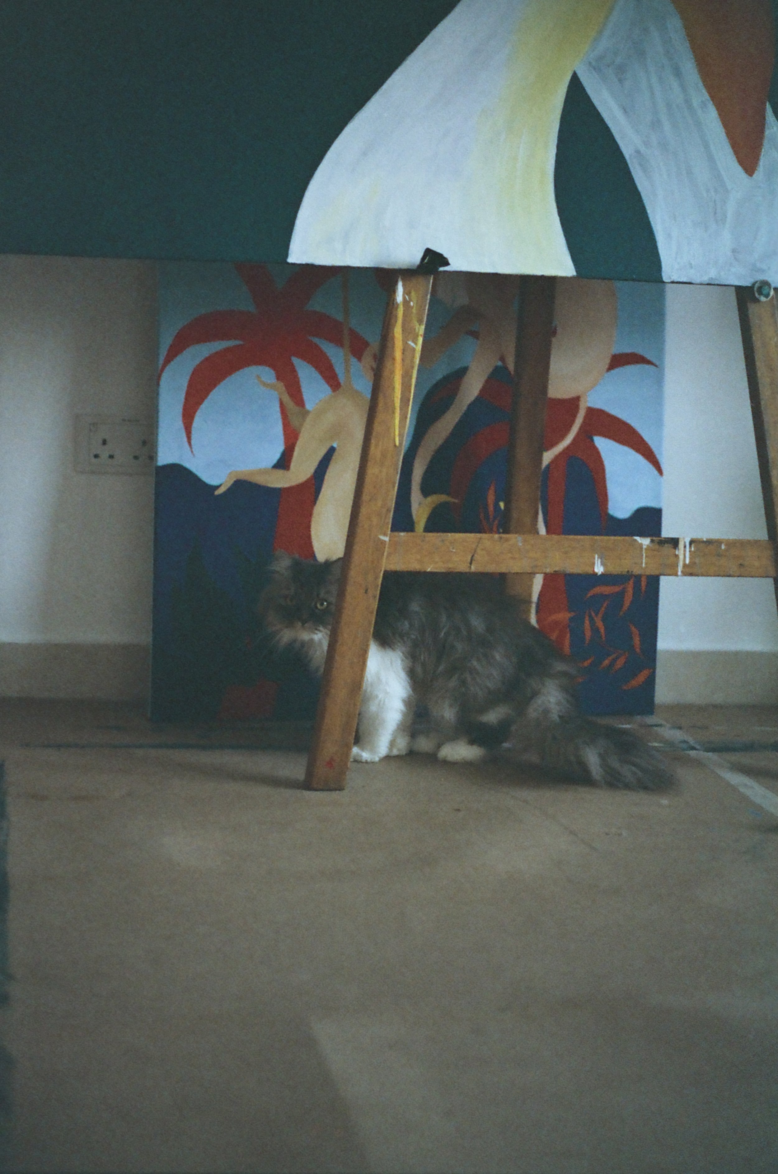 Aman Ali - 7762 - Hoasca - 35.jpg