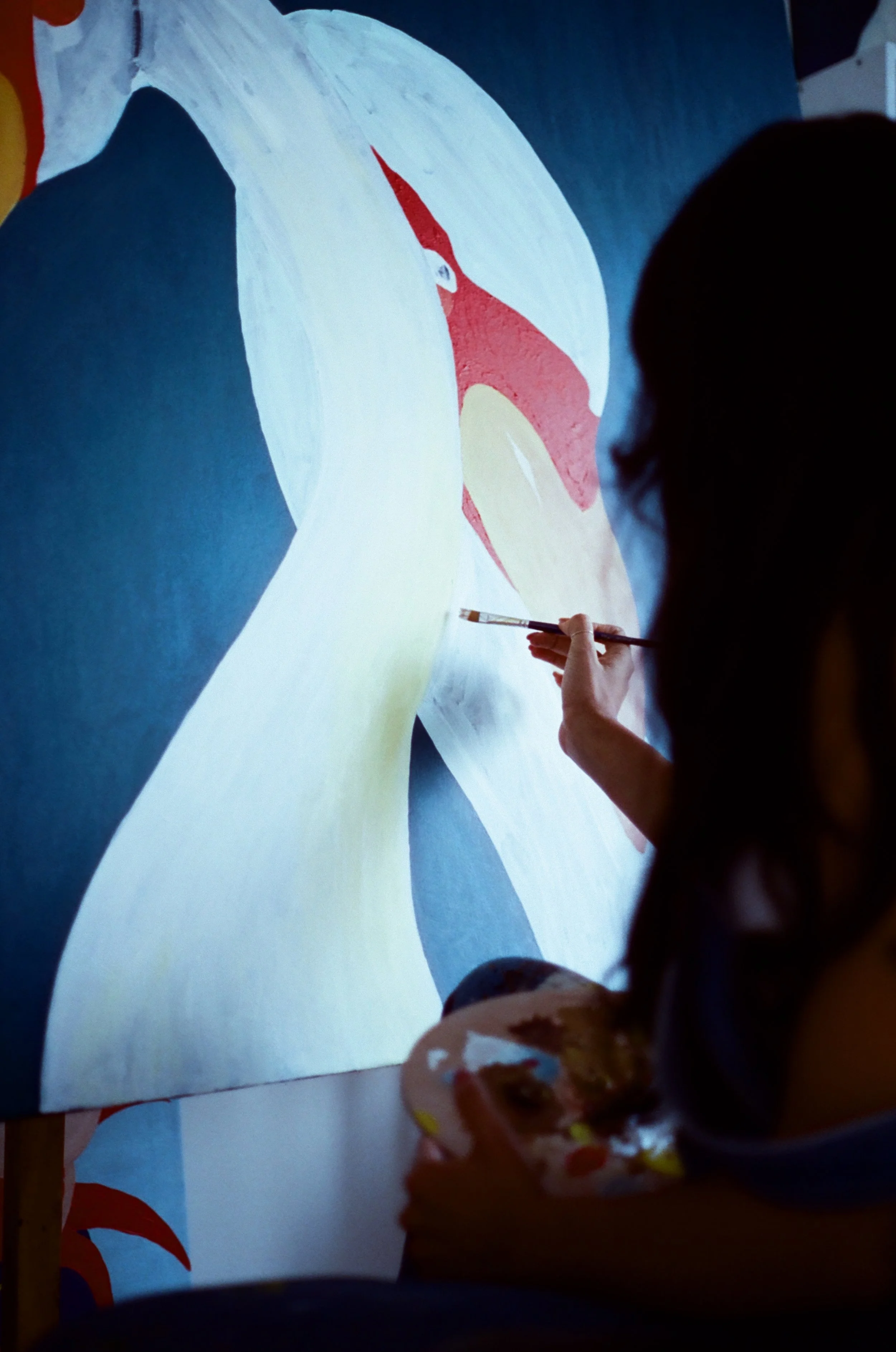 Aman Ali - 7762 - Hoasca - 18.jpg