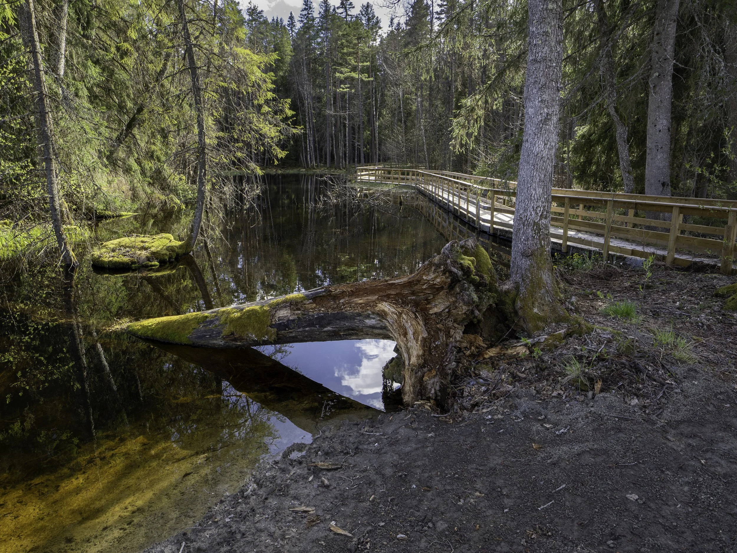 Ingbo Källor – a fabulous place where the water never runs out