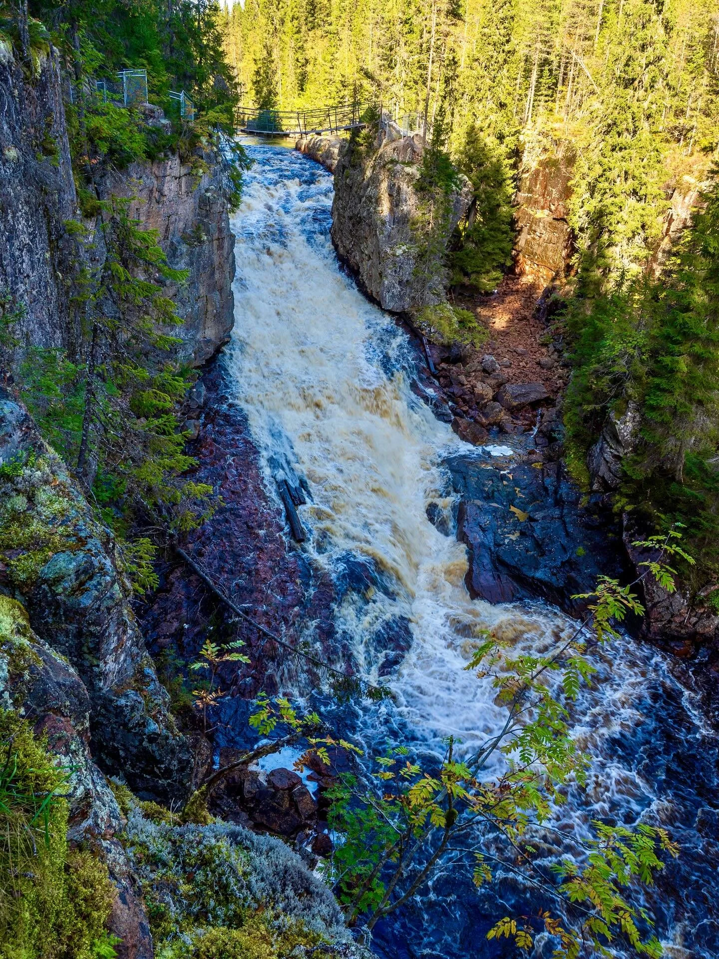 Helvetesfallet 🔥💦
Yet another wobbly bridge to cross&hellip; Dalarna sure knows how to give places some colorful names 😅

#Helvetesfallet #DalarnaAdventures #ShakyBridgeClub #SwedenNature #VanLifeAdventures