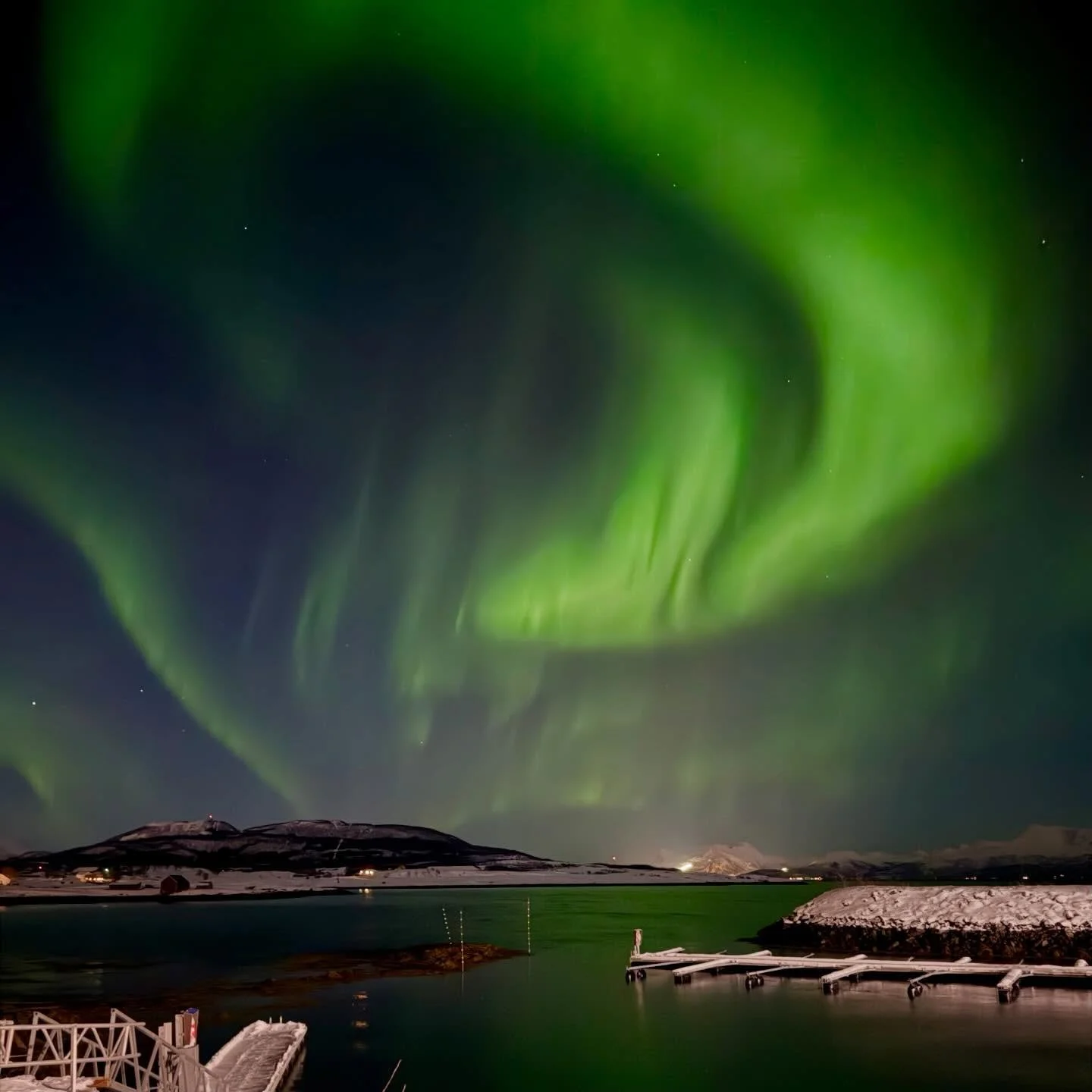 just one last picture...

#northernlights #auroraborealis #lofoten #arcticlights #winternightlights