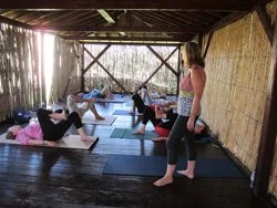 outdoor-yoga-session-fiona-agombar.jpg