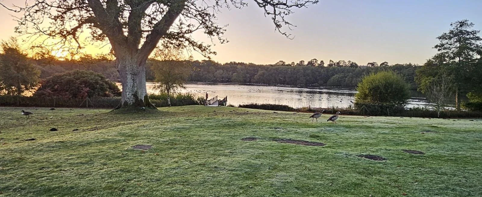 WhatsApp Image 2025-10-30 at 15.38.24_46c5a1a5.jpg