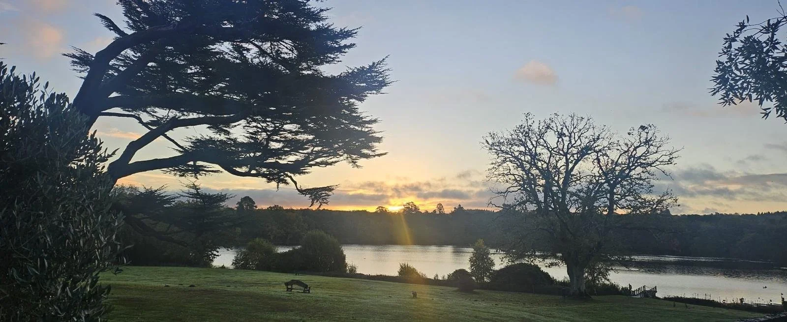 WhatsApp Image 2025-10-30 at 15.38.24_e4fbfa4b.jpg