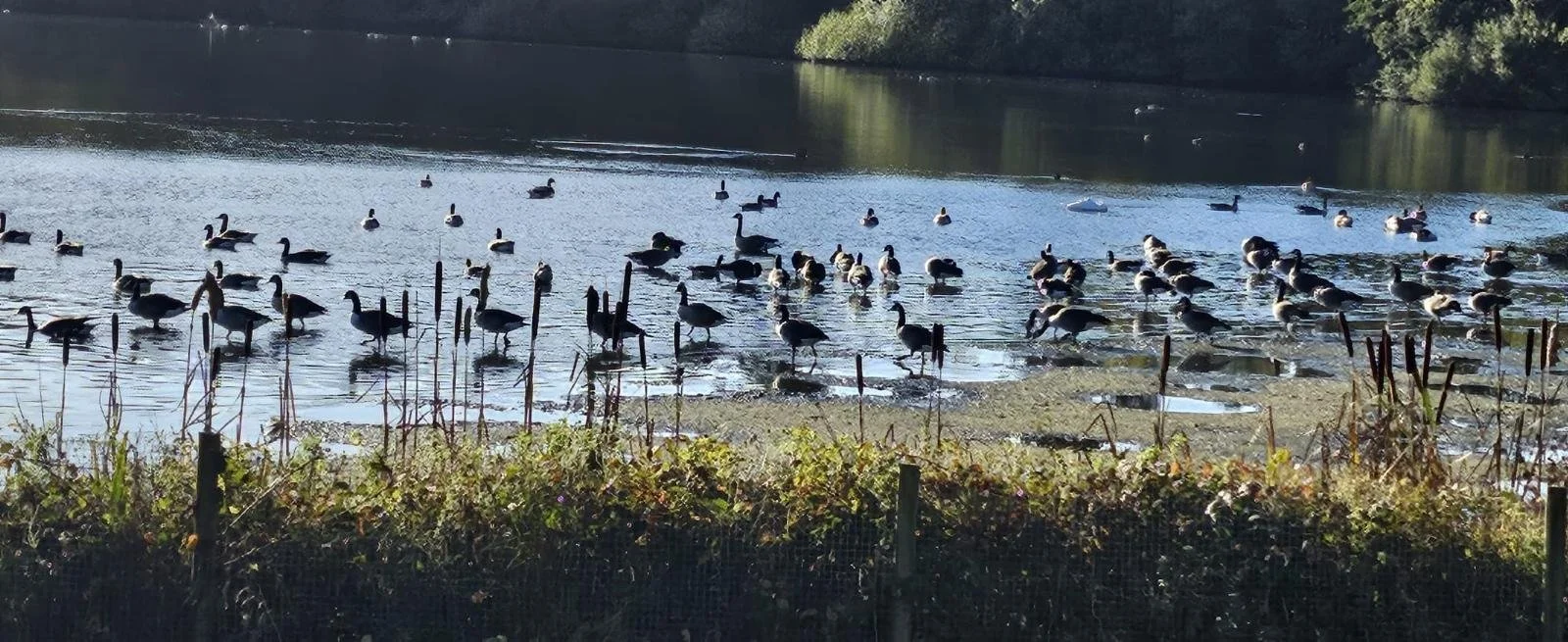 WhatsApp Image 2025-10-27 at 20.12.23_82459e7c.jpg