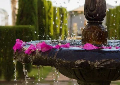 fountain-petals-santillan-yoga-retreat.jpg