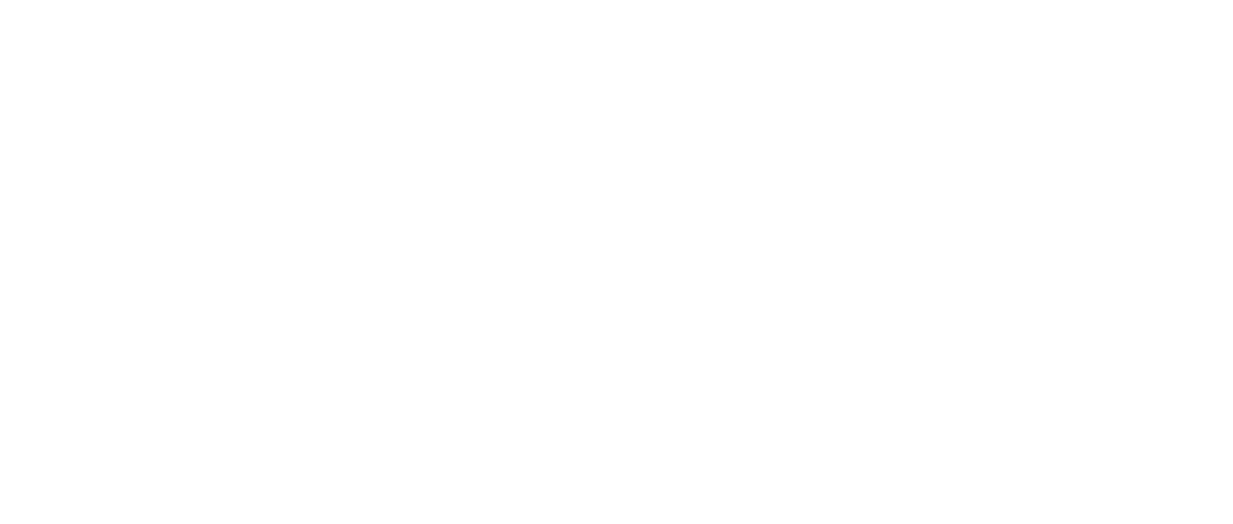 lesonograf