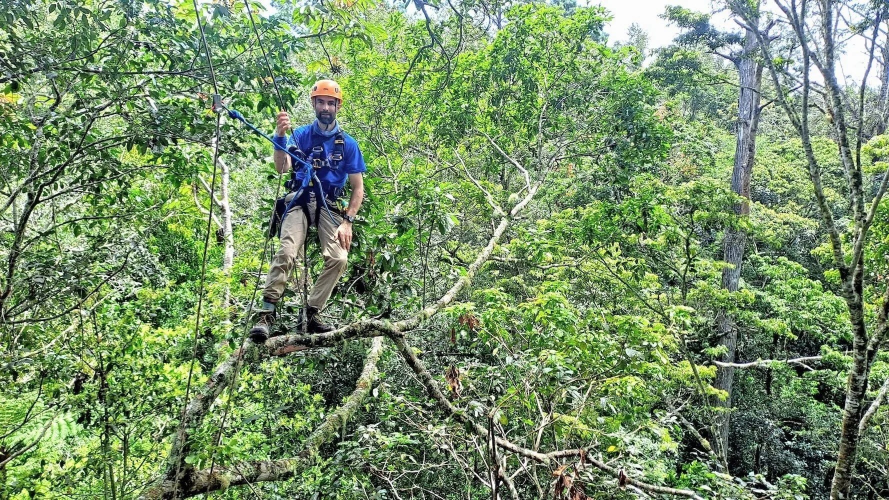 Canopy Science 2: Challenges of climbing in the cloud forest