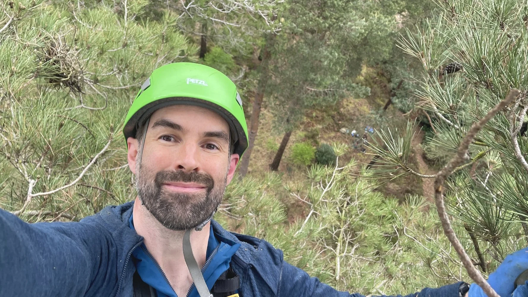 Raptor worker at height in forest