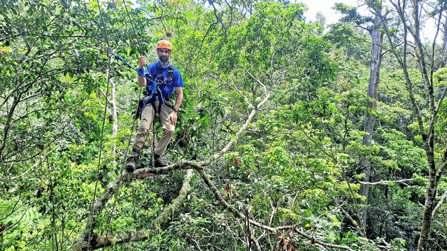 Exploring the canopy of the cloud forest with climbing equipment