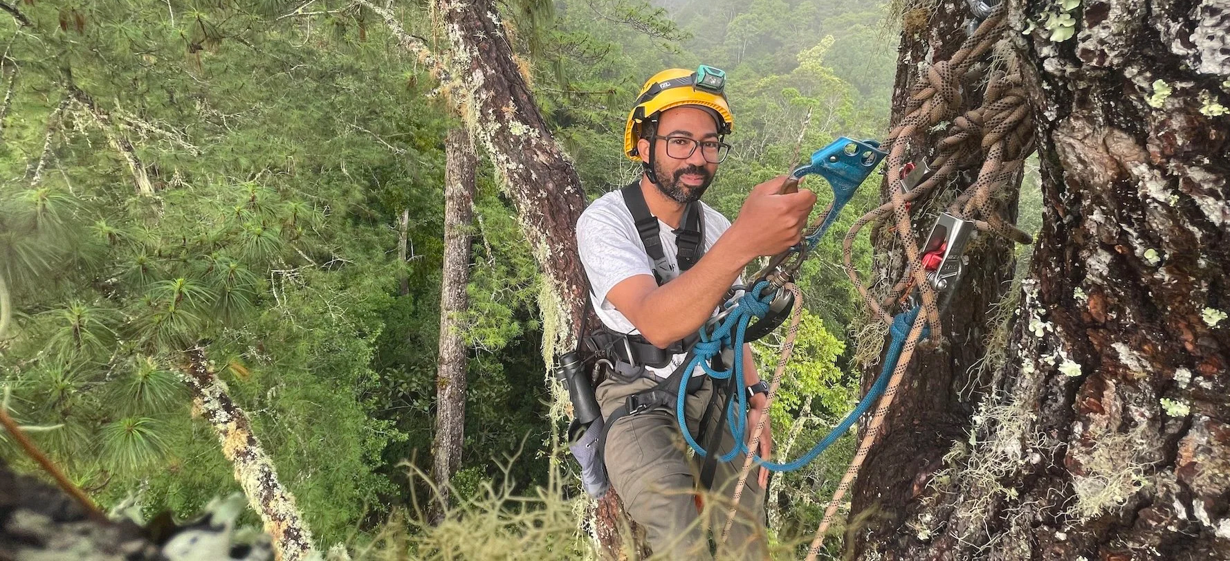 Ornithologist in the canopy