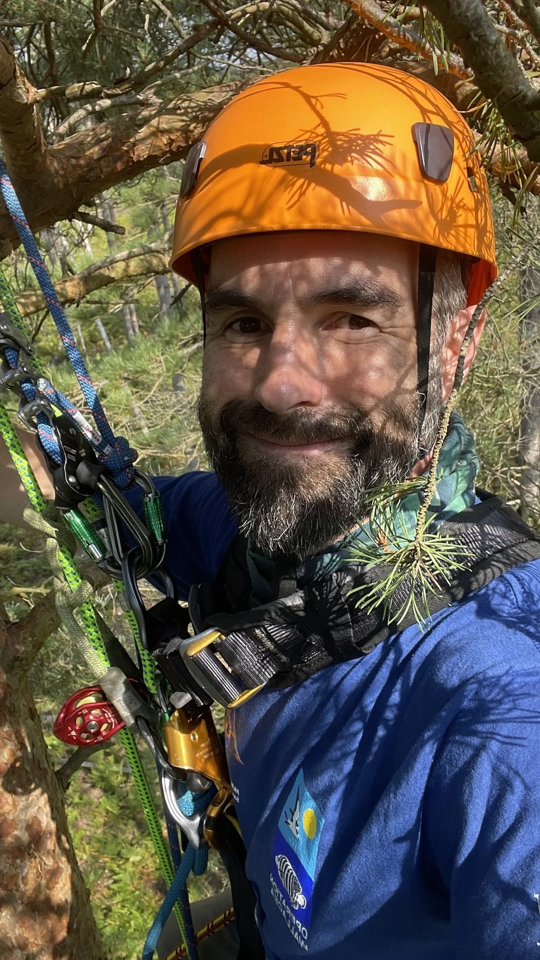 Tree climbing for science