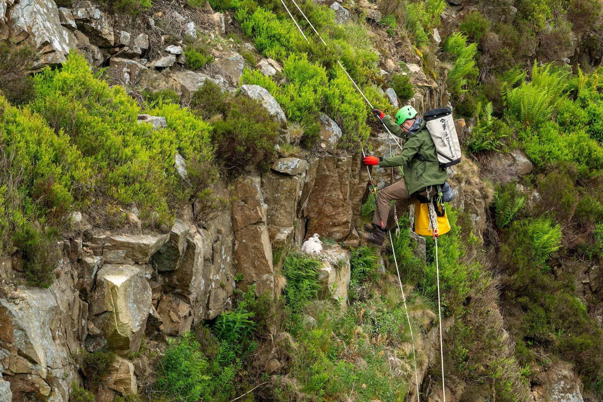 Rope access technician on ropes and safety equipment.