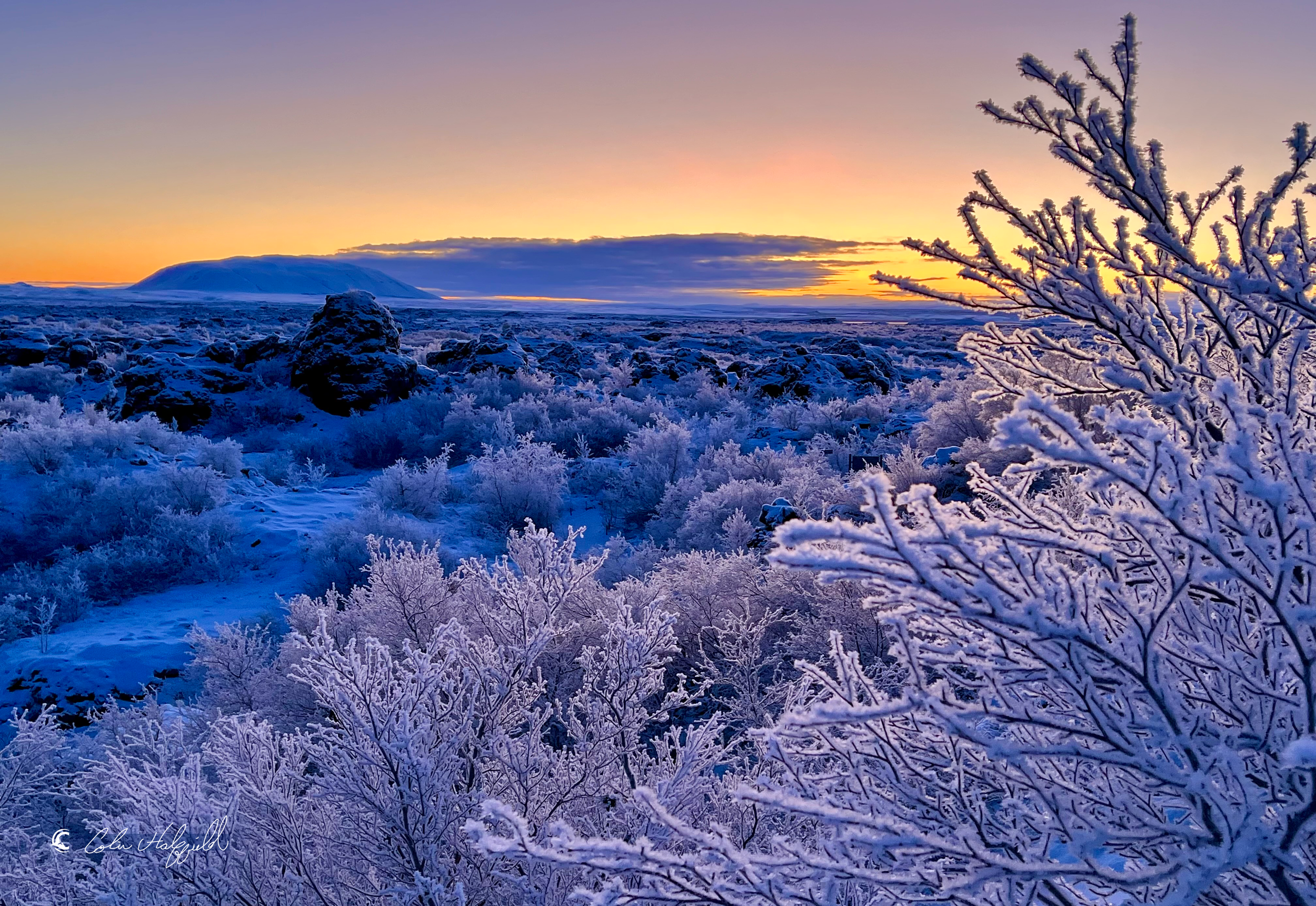 Iceland Winter Frost