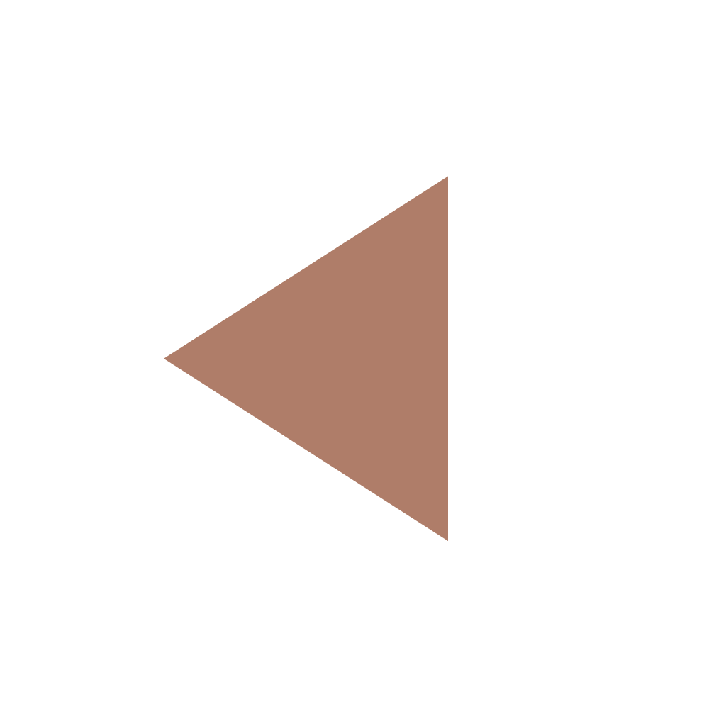 Ein Play-Button mit braunem Dreieck auf weißem Hintergrund in einem Kreis.