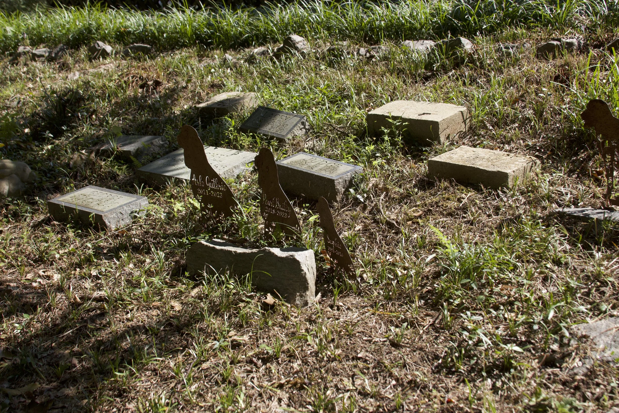 A Lens on Technological Dysthanasia