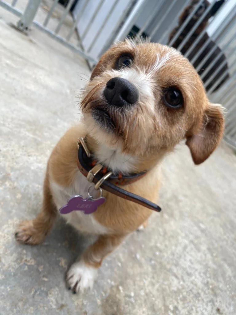 WhatsApp Image 2024-09-26 at 13.06.26_85b5c12a-768.jpg