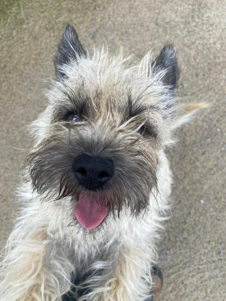 WhatsApp Image 2024-09-26 at 13.06.28_f2df45cf-768.jpg