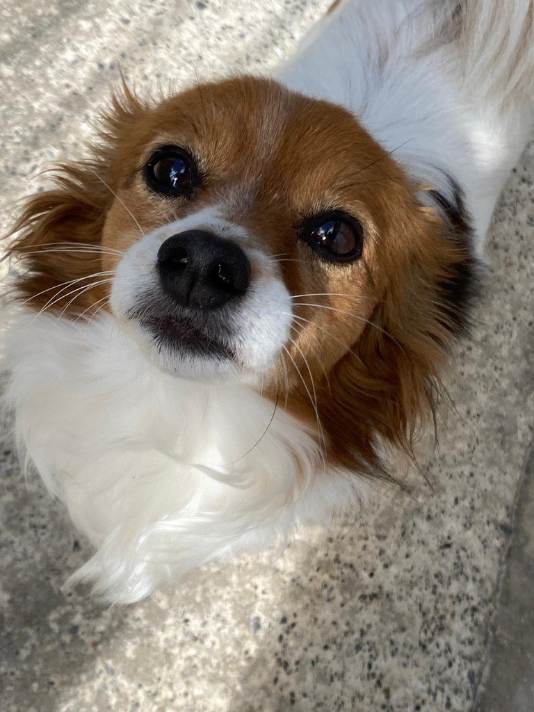 WhatsApp Image 2024-09-26 at 13.06.29_3b2b7fbb-768.jpg