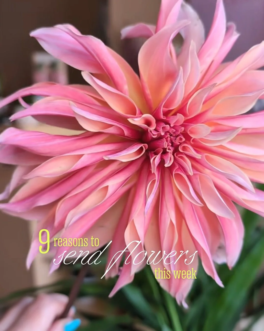 Reasons to send Flowerpop Bold Blooms this week. 🤓 💐 As always, we send flowers in Dublin with same day delivery if you order before 10am. 🥰 

We also have grab-and-go bunches at our new studio at 17 Tyrconnell Road, Inchicore as well as beautiful