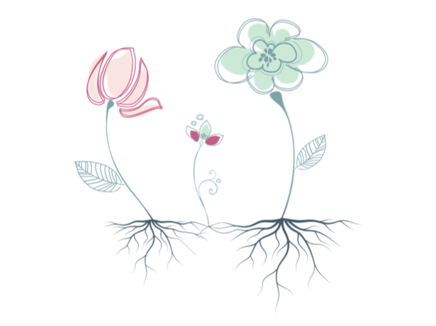 The Relationship Flower: line drawing of two flowers, each with its own roots, and a smaller flower growing between them where their roots meet.