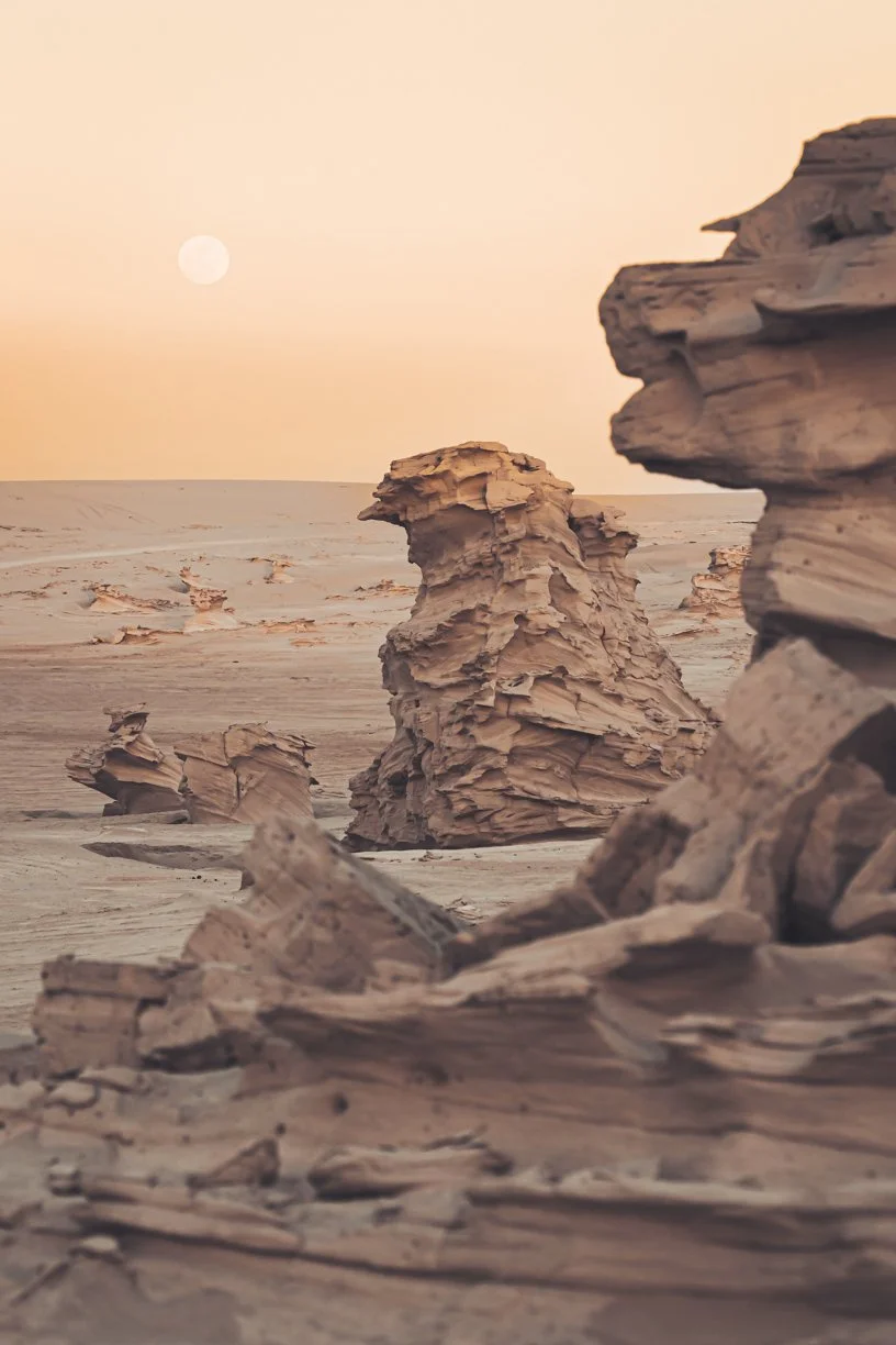 Mars Moonrise