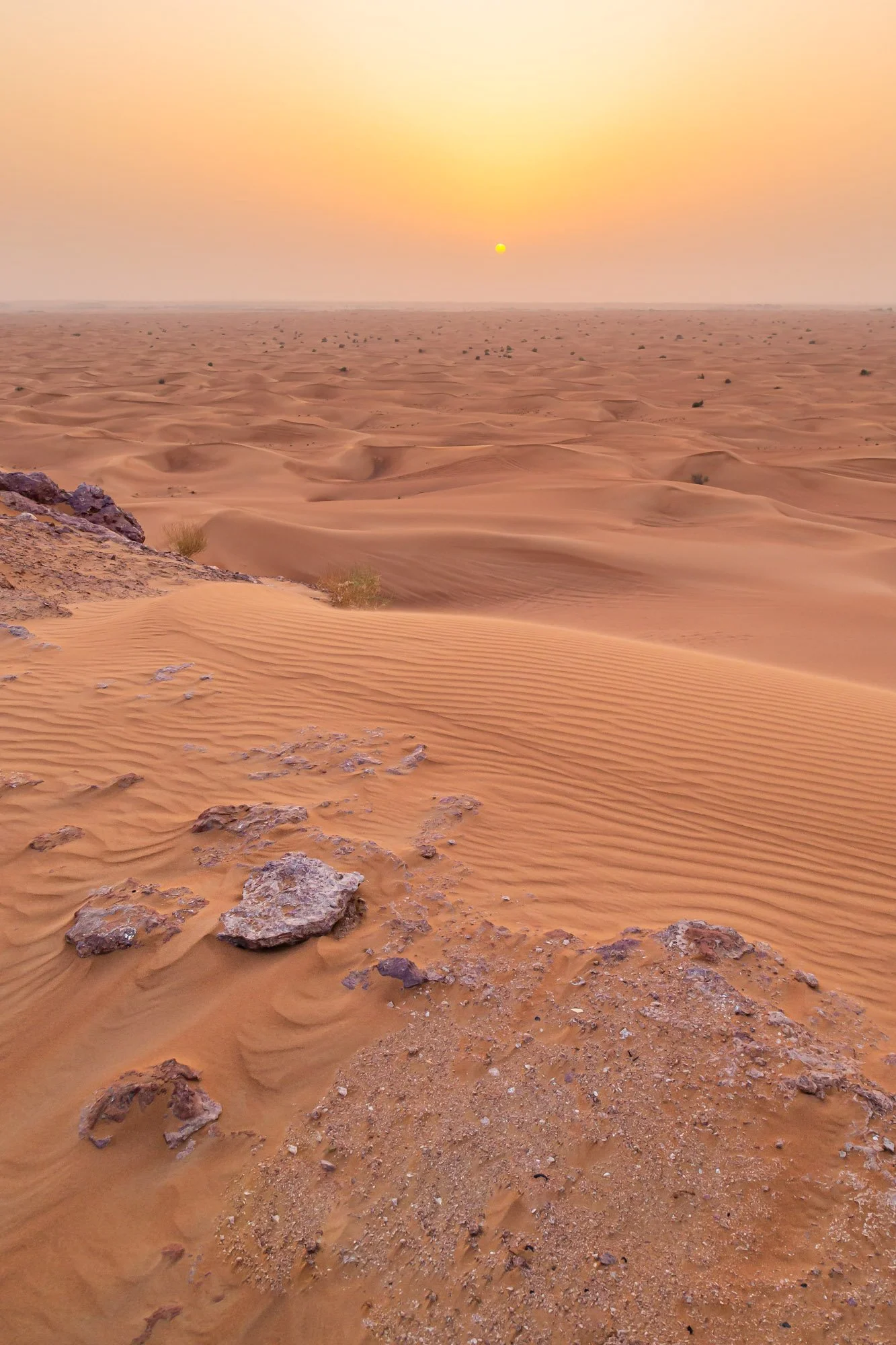Arabian Sunset