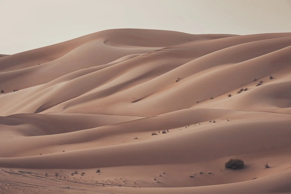 Desert landscape with rolling sand dunes and sparse small shrubs, under a pale sky.