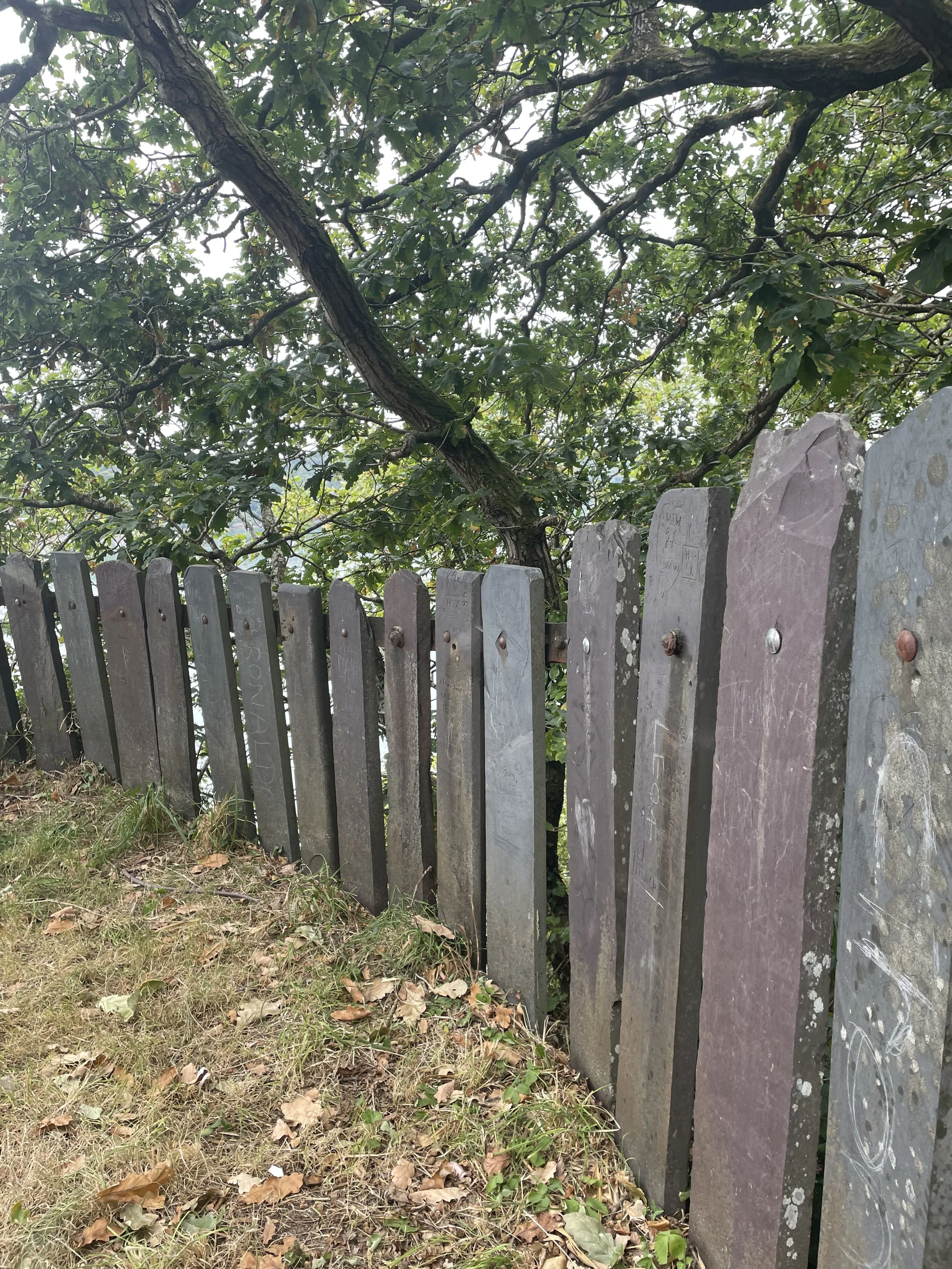 ‘Crawiau’ Welsh Slate Fencing