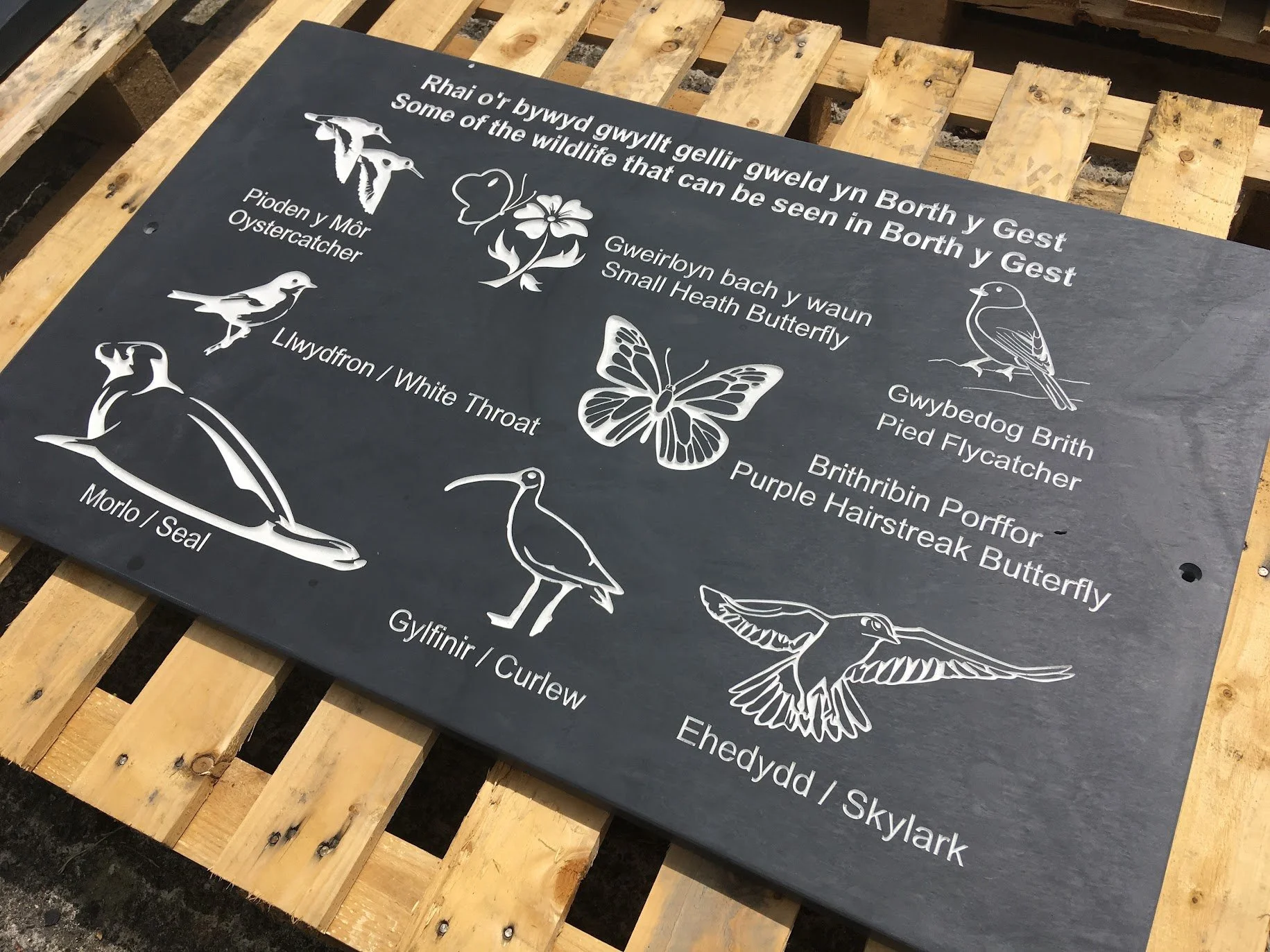 Large Welsh Slate Sign engraved with wildlife seen around Borth y Gest, North Wales