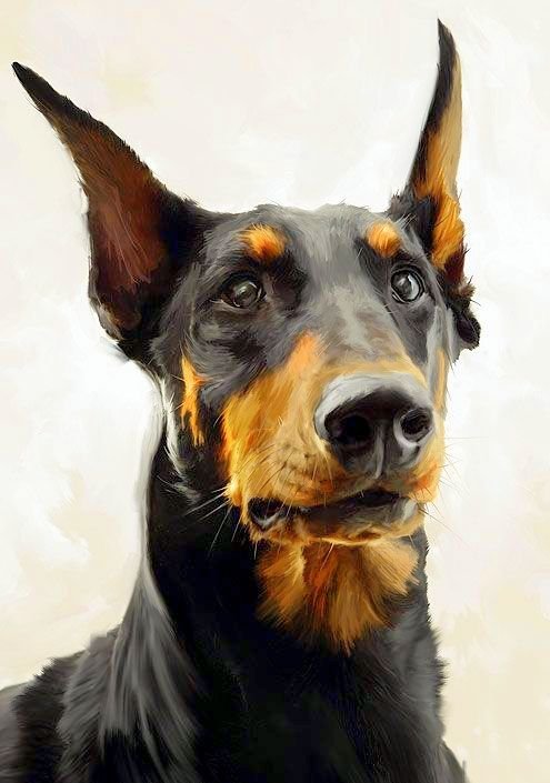 
Pet portrait commission.