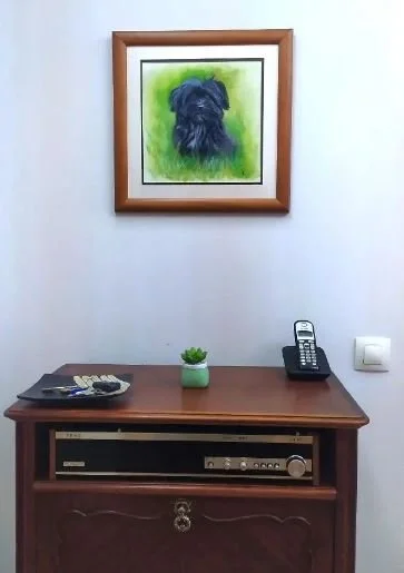 Framed painting in the Client's home