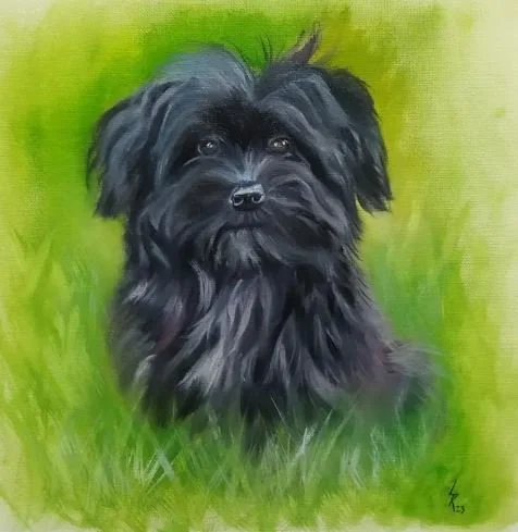 
Pet portrait commission