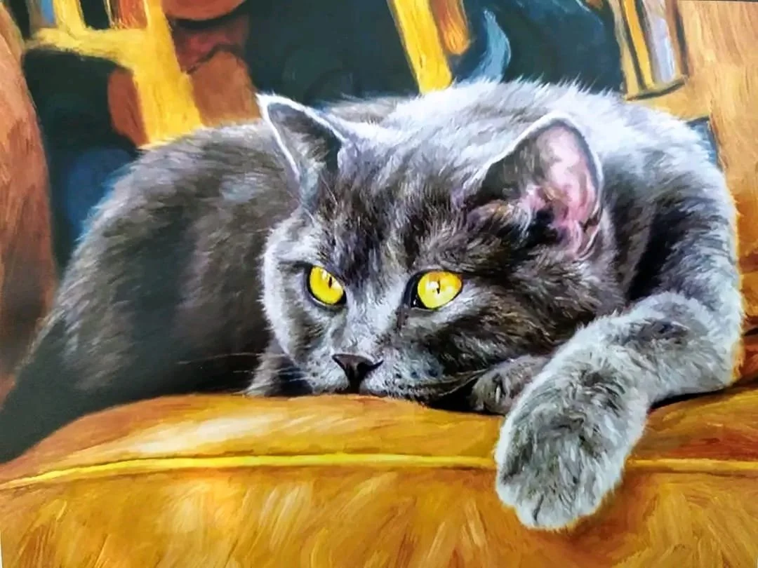 
Pet portrait commission