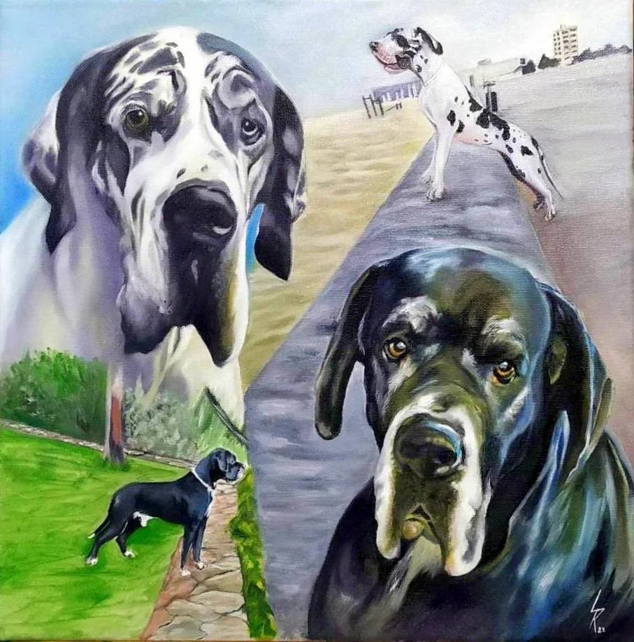 
Pet portrait commission