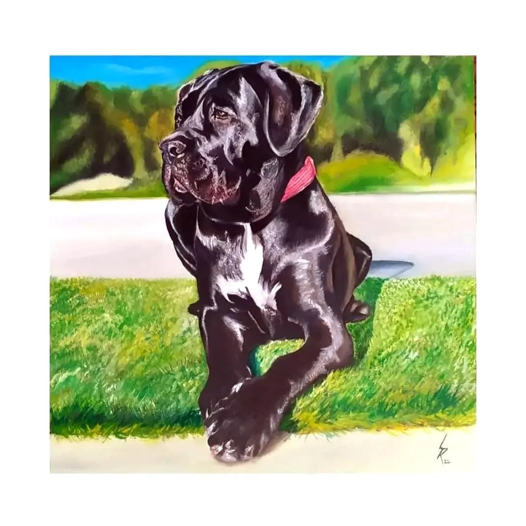 
Pet portrait commission